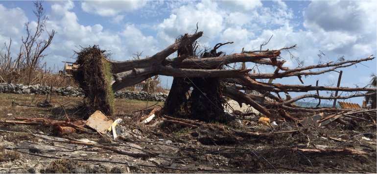 United Caribbean Trust distributing Sawyer PointOne Water Filtration Systems in Bahanas following hurricane Dorian