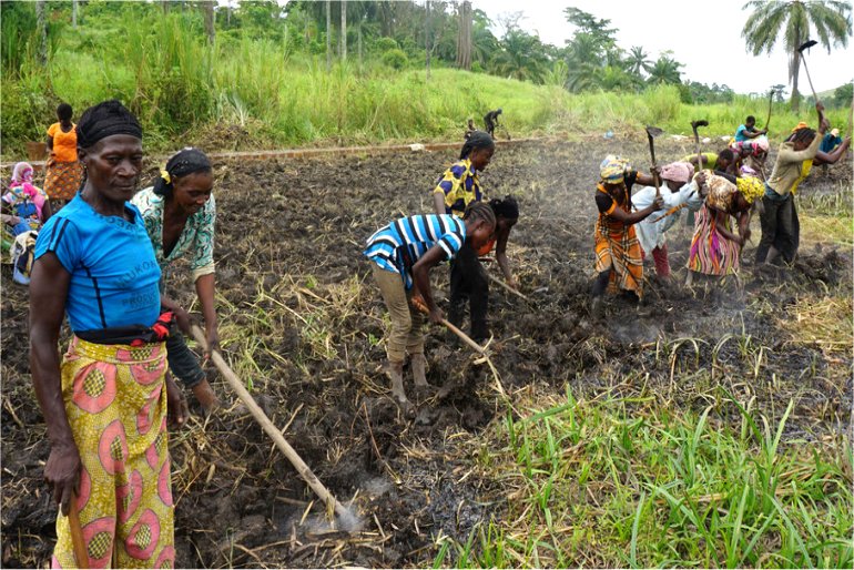 Central Africa Consulting Cabinet DR Congo UN Global Ambassadors unite to support sustainable agriculture child care and UN initiatives