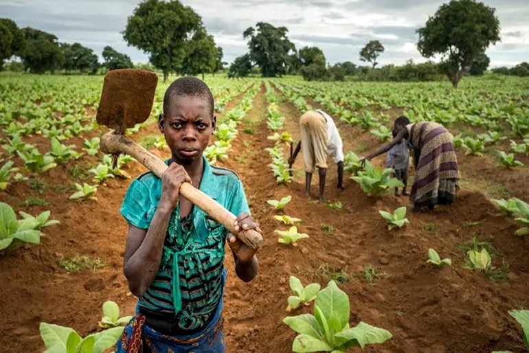 East Africa Consulting Cabinet Tanzania UN Global Ambassadors unite to support sustainable agriculture child care and UN initiatives