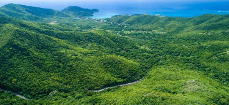 Antigua Goshen Group Citizenship by Investment including Antigua passport timeshare investment and houseplot within gated community plus Eco Agro and Beachfront glamping and Boutique Hotel Resorts