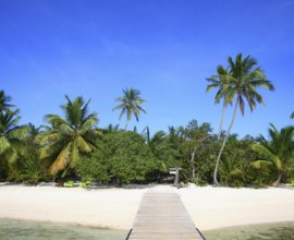 Goshen Group Andros Bahamas