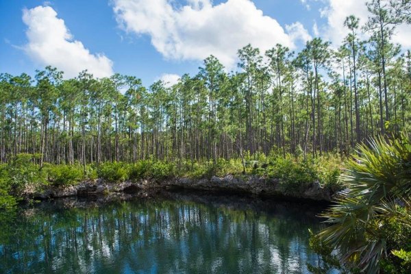 Goshen Group a new Caribbean Development including Residency by Investment in Andros Bahamas