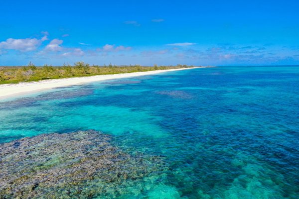 Goshen Group a new Caribbean Development including Residency by Investment in Bahamas and Barbados Eco Agro and Beachfront glamping and Boutique Hotel Resorts