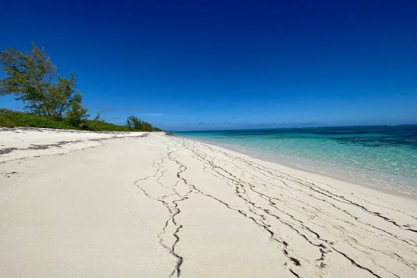 Goshen Group a new Caribbean Development including Residency by Investment in Bahamas and Barbados Eco Agro and Beachfront glamping and Boutique Hotel Resorts
