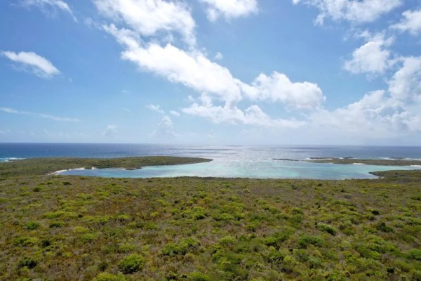 Goshen Group a new Caribbean Development including Residency by Investment in Long Island Bahamas including Eco Agro and Beachfront glamping and Boutique Hotel Resorts