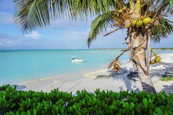 Goshen Group a new Caribbean Development including Residency by Investment in Long Island Bahamas including Eco Agro and Beachfront glamping and Boutique Hotel Resorts