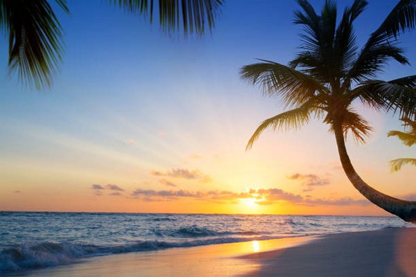 Goshen Group a new Caribbean Development including Citizenship by Investment in Dominica Grenada Nevis and St Lucia Residency by Investment in Bahamas and Barbados Eco Agro and Beachfront glamping and Boutique Hotel Resorts