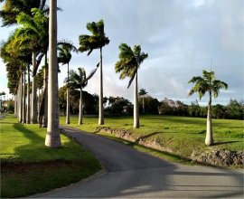 Goshen Group Barbados Central