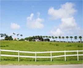 Goshen Group Barbados Central