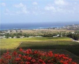 Goshen Group Barbados East
