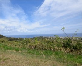 Goshen Group Barbados East