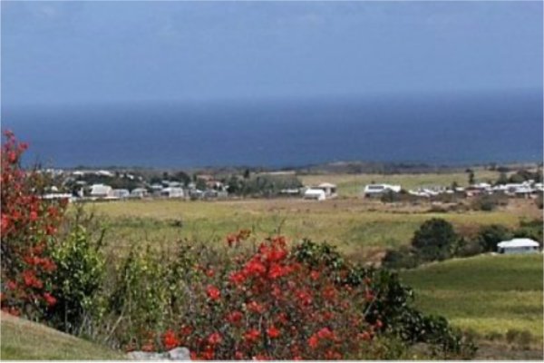 Goshen Group a new Caribbean Development including Residency by Investment sales in Barbados east coast development