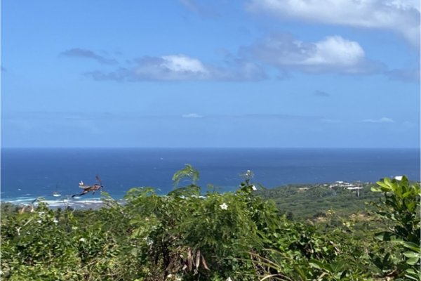 Goshen Group a new Caribbean Development including Residency by Investment sales in Barbados east coast development