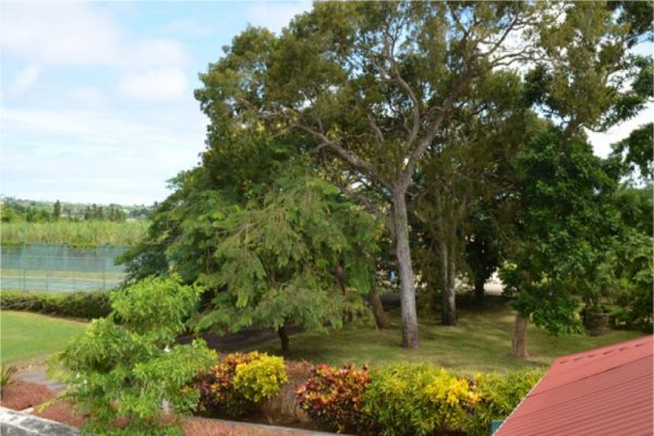 Goshen Group a new Caribbean Development including Homesteads and the Great Jewel Vintage Tourism programme