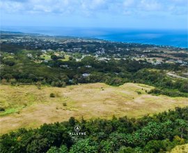 Goshen Group Barbados West