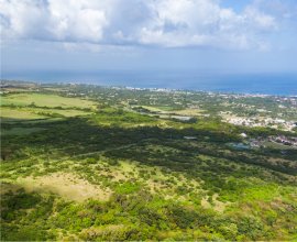 Goshen Group Barbados West