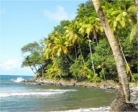 Goshen Group Dominica