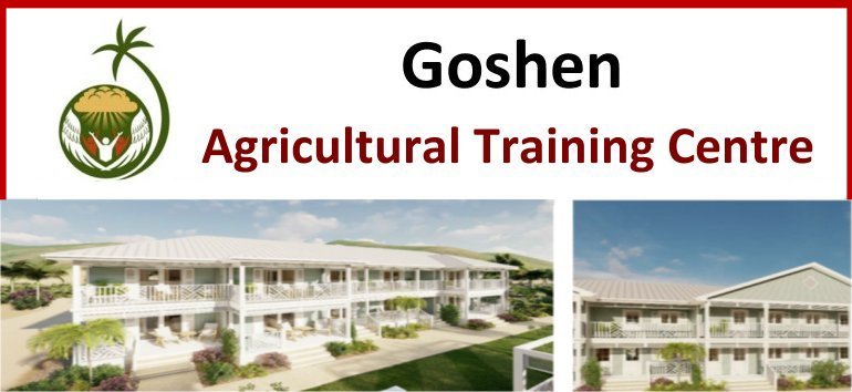 Goshen Africa Agro Glamping Resort Food for Life Africa food cultivation and production Drop of Hope Moringa Africa school project
