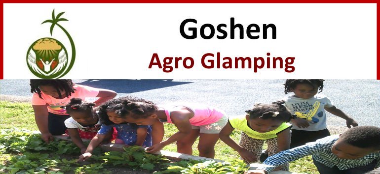 Goshen Africa Agro Glamping Resort Food for Life Africa food cultivation and production Drop of Hope Moringa Africa school project