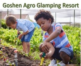 Goshen Africa Agro Glamping Resorts