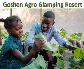 Goshen Agro Glamping Resorts