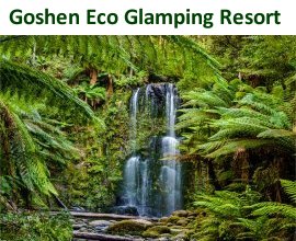 Goshen Eco Glamping Resorts