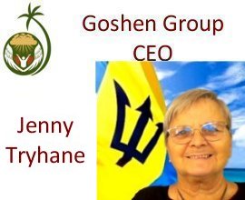 Goshen Group CEO Jenny Tryhane