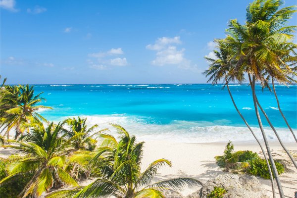 Goshen Group a new Caribbean Development including Citizenship by Investment in Dominica Grenada Nevis and St Lucia Residency by Investment in Bahamas and Barbados Eco Agro and Beachfront glamping and Boutique Hotel Resorts