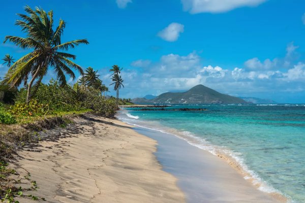 Goshen Group a new Caribbean Development including Citizenship by Investment in Dominica Grenada Nevis and St Lucia Residency by Investment in Bahamas and Barbados Eco Agro and Beachfront glamping and Boutique Hotel Resorts