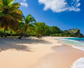 Goshen Group Grenada