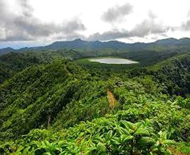 Goshen Group Grenada