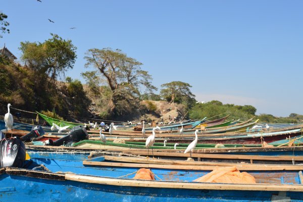 Goshen Africa Lake Victoria Glamping plus Kenya Eco Glamping and Boutique Hotel