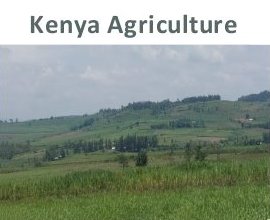 Agriculture and Agro Tourism