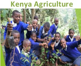 Agriculture and Agro Tourism