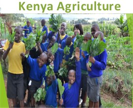 Agriculture and Agro Tourism