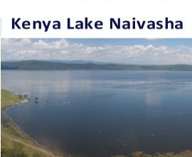 Goshen Africa Kenya Lake Naivasha Resorts