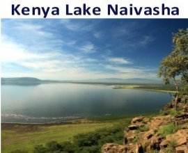 Goshen Africa Kenya Lake Naivasha Resorts