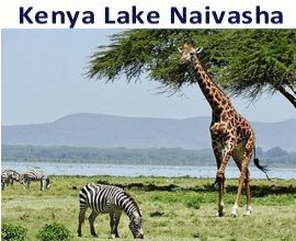 Goshen Africa Kenya Lake Naivasha Resorts