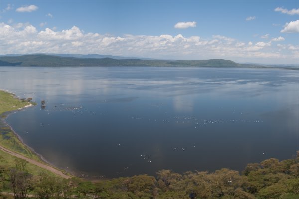 Goshen Africa a new African Development including  Kenya Eco Agro Lakeside and Beachfront glamping and Boutique Hotel Resorts in Kenya Uganda Tanzania DR Congo and Malawi