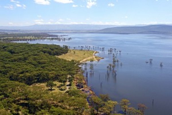 Goshen Africa Lake front Glamping plus Goshen Agro Glamping Eco Glamping and Boutique Hotel Resorts in Tanzania Uganda Kenya Malawi and DR Congo