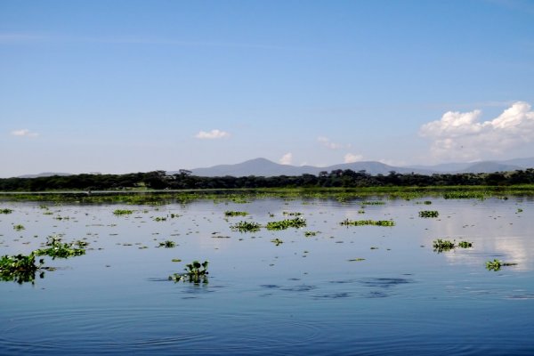Goshen Africa Lake front Glamping plus Goshen Agro Glamping Eco Glamping and Boutique Hotel Resorts in Tanzania Uganda Kenya Malawi and DR Congo