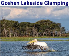 Goshen Africa Lakeside Glamping Resorts
