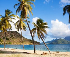Goshen Group Caribbean Sales