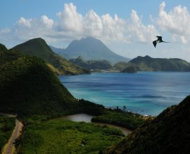 Goshen Group Caribbean Sales