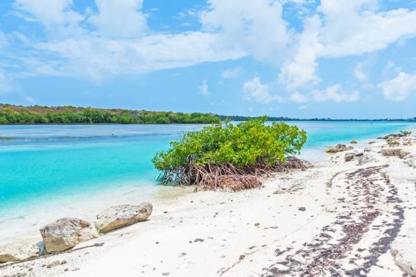 Goshen Group a new Caribbean Development including Residency by Investment in Turks and Caicos Grand Turk Bahamas and Barbados