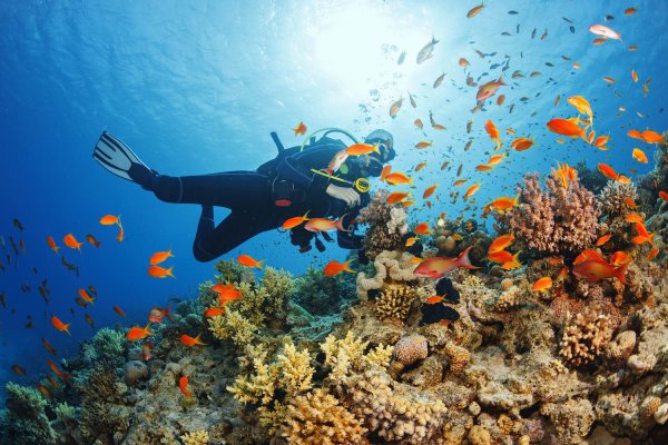 Goshen Group a new Caribbean Development including Residency by Investment in Turks and Caicos Bahamas and Barbados