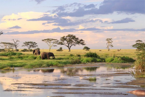Goshen Africa a new African Development including  Eco Agro Lakeside and Beachfront glamping and Boutique Hotel Resorts in Tanzania
