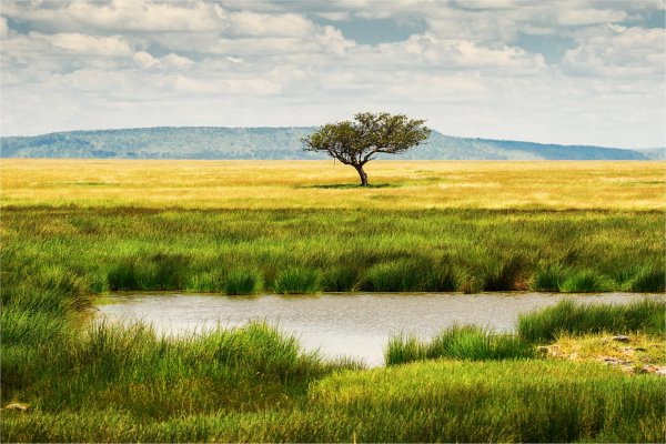 Goshen Africa a new African Development including  Eco Agro Lakeside and Beachfront glamping and Boutique Hotel Resorts in Tanzania