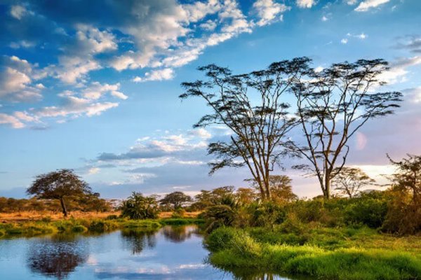Goshen Africa a new African Development including  Eco Agro Lakeside and Beachfront glamping and Boutique Hotel Resorts in Tanzania