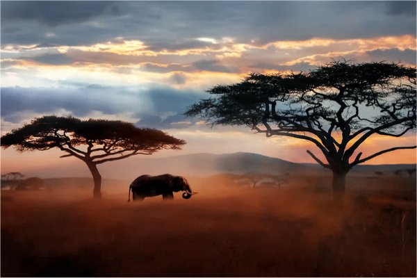 Goshen Africa a new African Development including  Eco Agro Lakeside and Beachfront glamping and Boutique Hotel Resorts in Tanzania